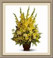 Ervin Florist, 1111 W 4th Ave, Albany, GA 31707, (229)_435-4244